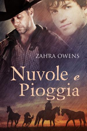 Cover of the book Nuvole e pioggia by Hayley B. James