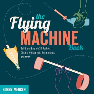 bigCover of the book The Flying Machine Book by 