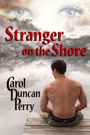Book cover of Stranger on the Shore