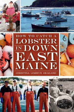 Cover of the book How to Catch a Lobster in Down East Maine by Mindie Burgoyne