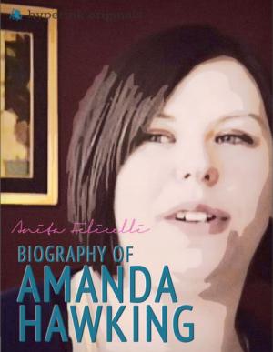 Cover of the book Amanda Hocking: A Biography by Sara  McEwen
