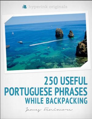 Cover of the book 250 Useful Portuguese Phrases while Backpacking by Taryn  Nakamura