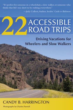 Cover of the book 22 Accessible Road Trips by Steven S. Overman, MD, Joy H. Selak