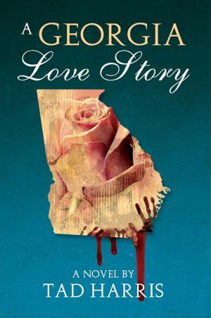 Cover of the book A Georgia Love Story by Dafydd ab Hugh
