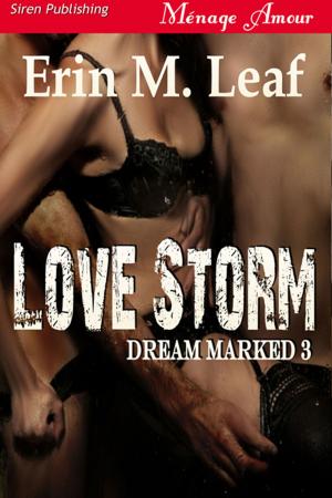 Cover of the book Love Storm by Sara Kingston
