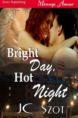 Cover of the book Bright Day, Hot Night by Tina Wainscott, Jaime Rush