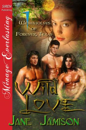 bigCover of the book Wild Love by 