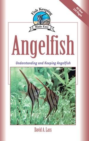 Cover of the book Angelfish by 
