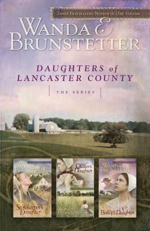 Cover of the book Daughters of Lancaster County: The Series by Anita C. Donihue