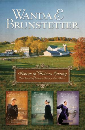 Cover of the book Sisters of Holmes County Omnibus by Nancy Toback, Candice Prentice