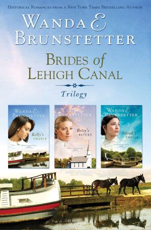 Cover of the book Brides of Lehigh Canal Omnibus by Bonnie Blythe, Pamela Griffin, Kelly Eileen Hake, Gail Gaymer Martin, Tamela Hancock Murray, Jill Stengl