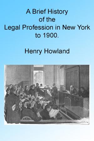 Cover of A Brief History of the Legal Profession in New York to 1900, Illustrated