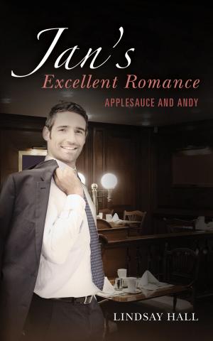 Book cover of Jan's Excellent Romance