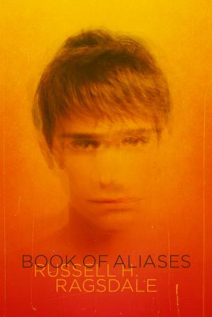 Cover of the book Book of Aliases by Terri Porta