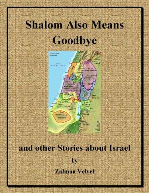Cover of the book Shalom Also Means Goodbye by Wendy E. Simon, Dale