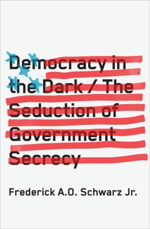 Cover of the book Democracy in the Dark by Paul Butler