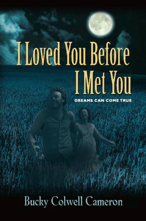 Cover of the book I Loved You Before I Met You by Barbara Hurt Ihde