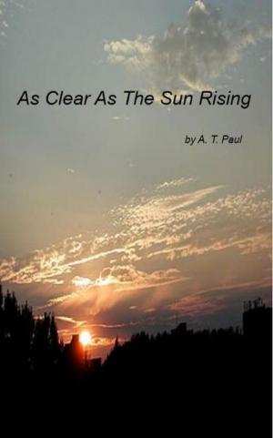 bigCover of the book As Clear As The Sun Rising by 