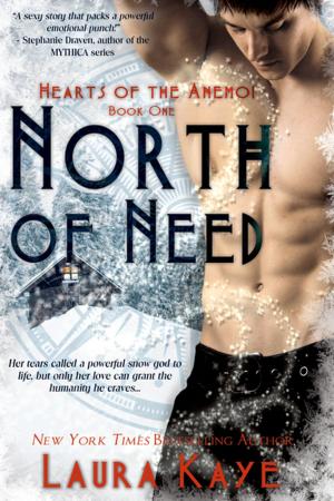 Cover of the book North of Need by Anne Rainey