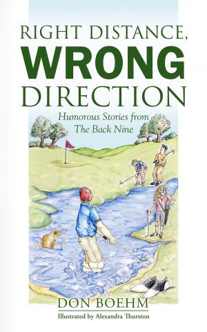 Cover of the book Right Distance, Wrong Direction by Daphne Hedley