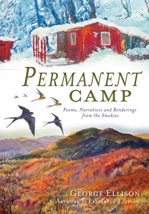 Cover of the book Permanent Camp by Thomas C. Buechele, Nicholas C. Lowe
