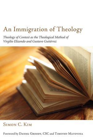 Cover of the book An Immigration of Theology by David Bruce