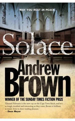 Cover of the book Solace by Chris Stuart