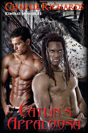 Cover of the book Catlin's Appaloosa by Valarie Prince