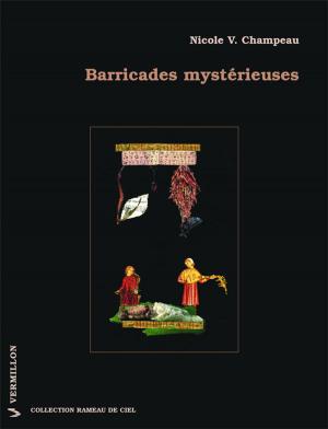 Cover of the book Barricades mystérieuses by Aurélie Resch