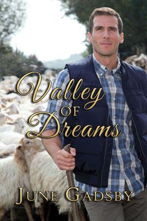 Cover of the book Valley of Dreams by Joanie MacNeil
