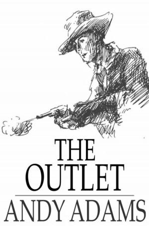 Cover of the book The Outlet by Elizabeth Leavitt Keller