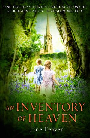 Cover of the book An Inventory of Heaven by Barbara Cardy