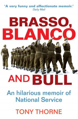 Cover of the book Brasso, Blanco and Bull by Simon Brett