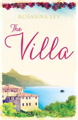 Cover of the book The Villa by Lyuba Vinogradova