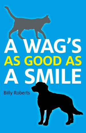 Book cover of A Wag's As Good As A Smile