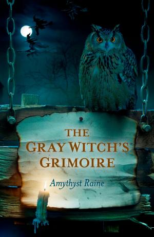 Cover of the book The Gray Witch's Grimoire by Saleire