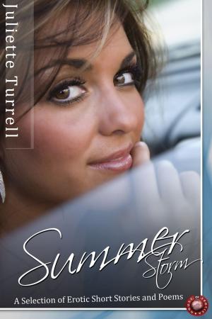 bigCover of the book Summer Storm and Other Stories by 