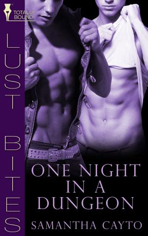 Cover of the book One Night in a Dungeon by Paola Ramos