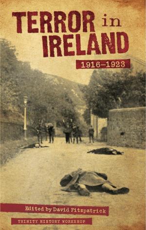 Cover of the book Terror in Ireland 1916-1923 by T.J. McElligott