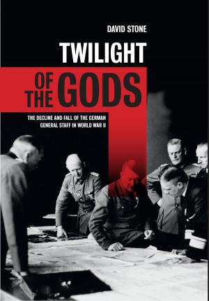 Book cover of Twilight of the Gods