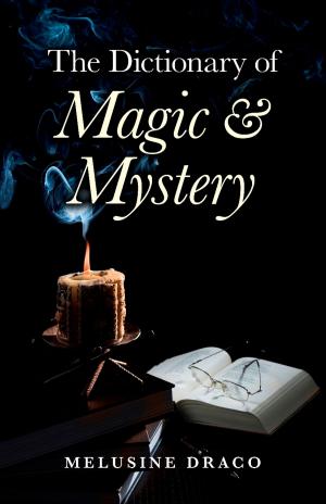Book cover of The Dictionary of Magic & Mystery