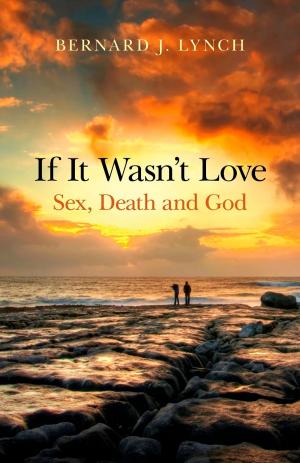Cover of the book If It Wasn't Love by Barbara Ford-Hammond