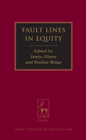 Cover of the book Fault Lines in Equity by Craig Woodfield