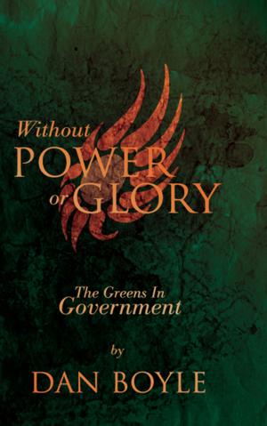 Cover of the book Without Power Or Glory by Donal Fallon