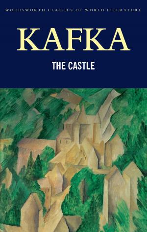 bigCover of the book The Castle by 