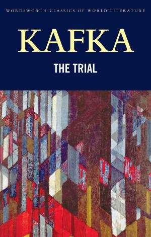 bigCover of the book The Trial by 