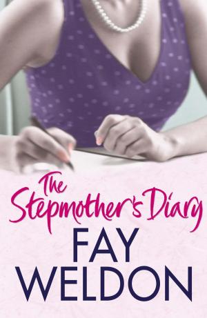Book cover of The Stepmother's Diary