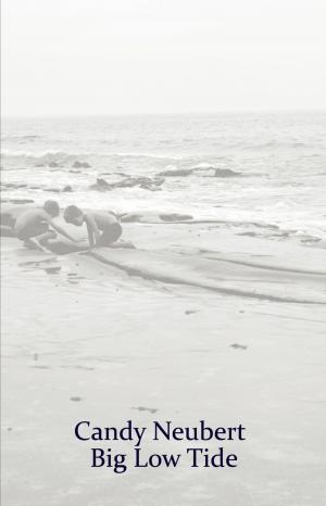 Cover of the book Big Low Tide by Carolyn Jess-Cooke