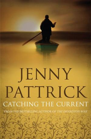 Cover of the book Catching the Current by Tanya Moir
