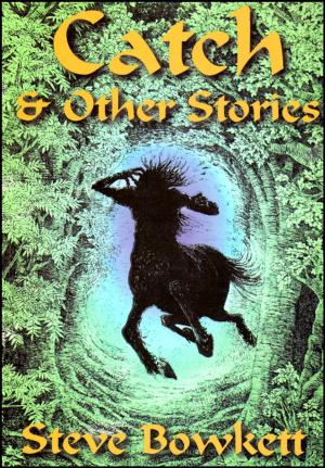 Book cover of Catch & Other Stories
